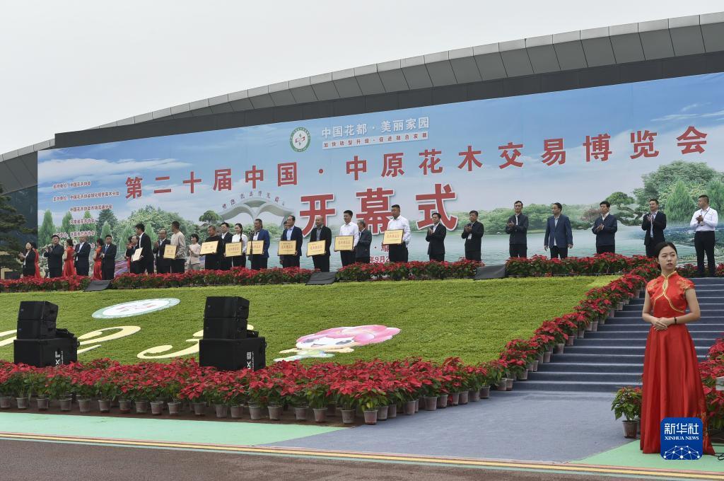 大红鹰游戏线路